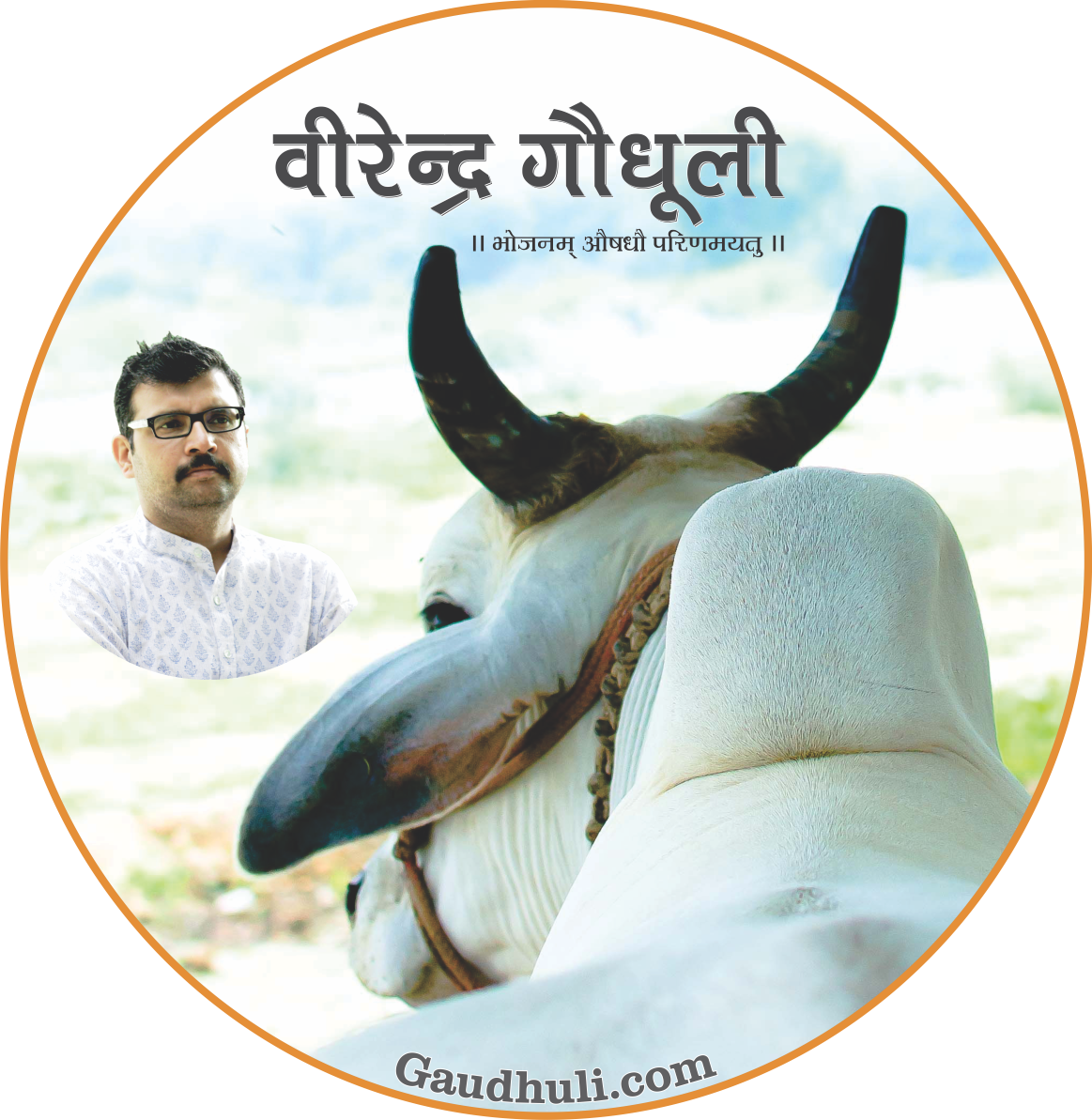 Virendra Gaudhuli