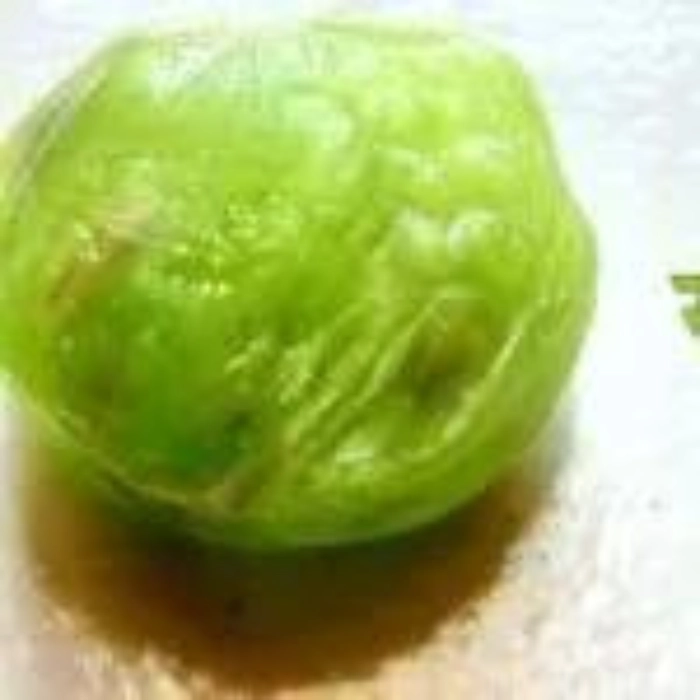 organic candy fennel seeds flavour