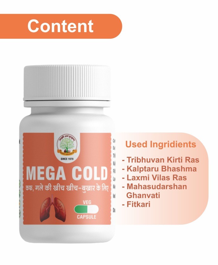 mega cold capsules/ मेगा कोल्ड कैप्सूल 30 टैबलेट
