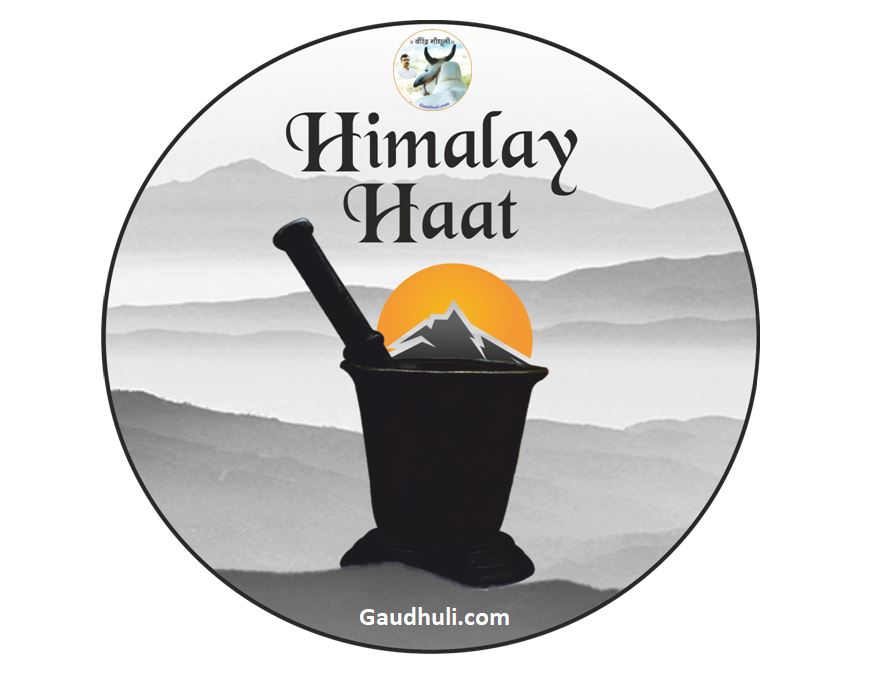 himalaya haat: उत्तराखंड से पहाड़ी महिला स्वयं सहायता समूह के स्थानीय हस्तनिर्मित उत्पाद
