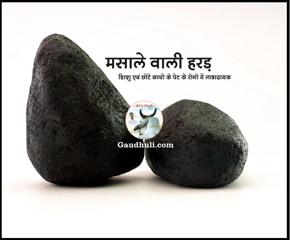 masale wali harad – मसाले वाली हरड़ हस्तनिर्मित दादी माँ का पुराना नुस्खा