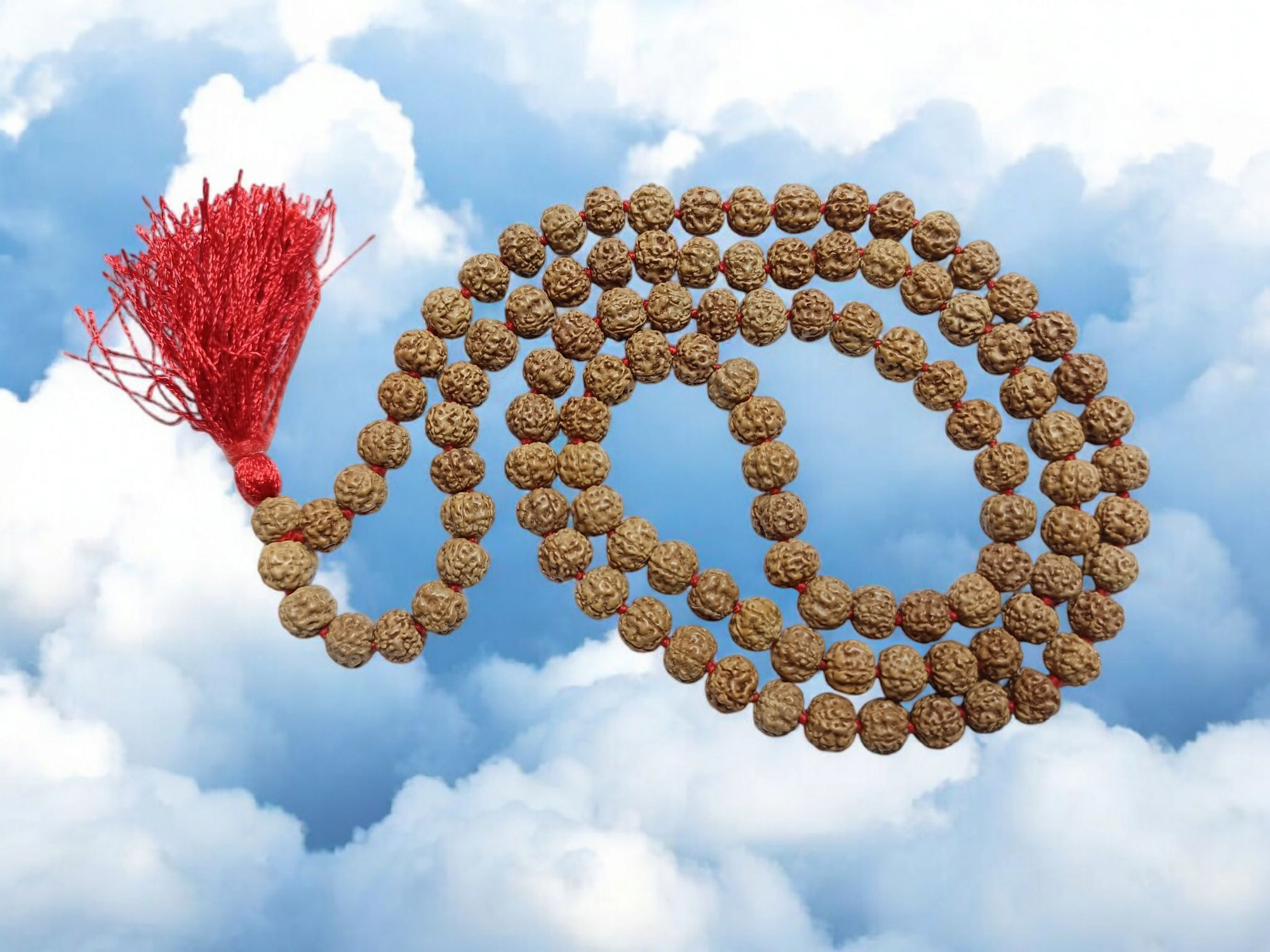 mala rudraksha 7mm and 8mm