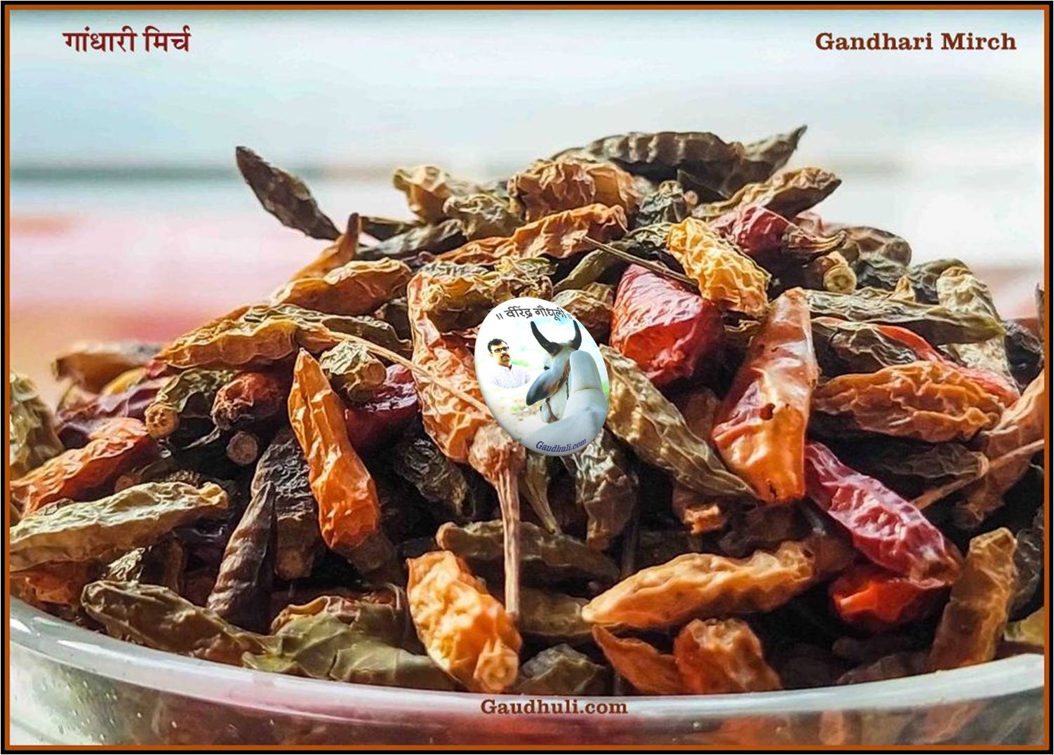 bird's eye chilli / gandhari mirch / गांधारी मिर्च / कंथारी मिर्च – 100 gm