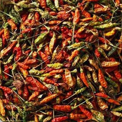 kanthari mirch कंथारी मिर्च – 100 gm