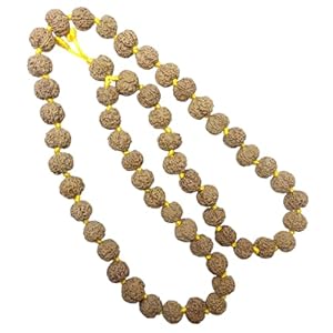 5 mukhi pathri dana rudraksha kantha 54 beads