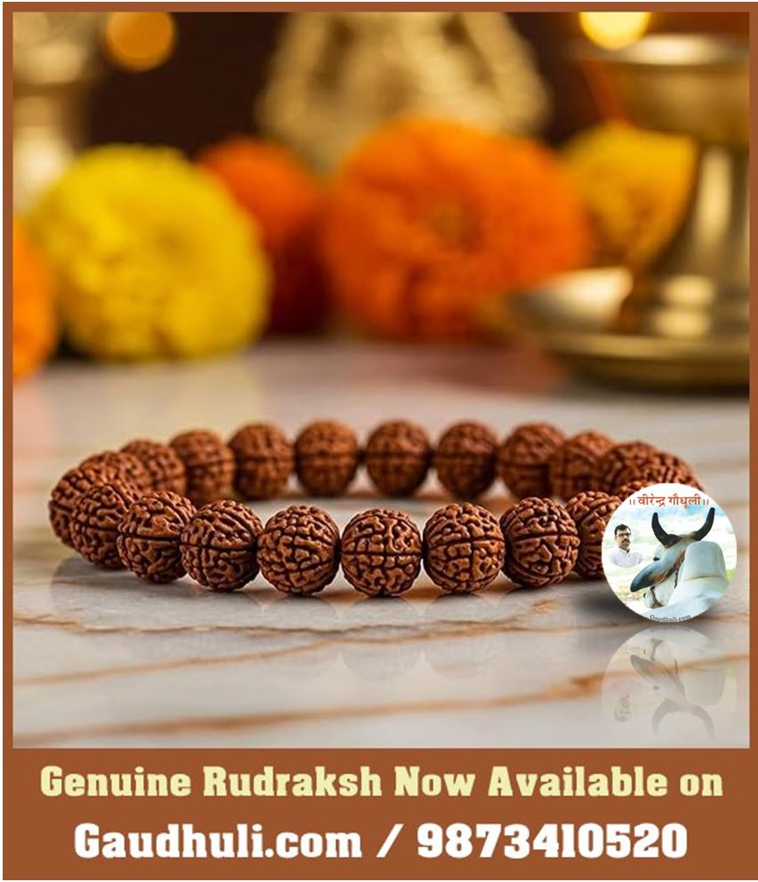 rudraksh