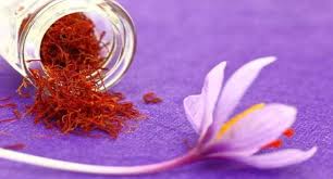 original pure kashmiri saffron (1g) / भारत की सर्वश्रेष्ठ प्रमाणित कश्मीरी केसर (1 gm)