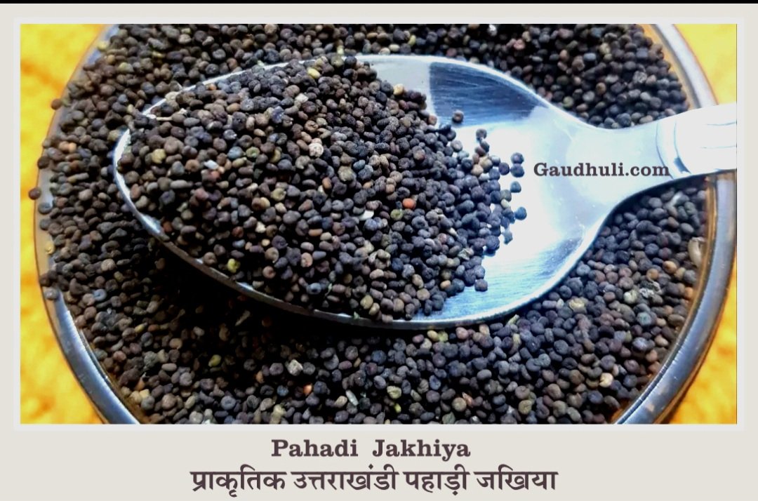 natural pahadi jakhiya seeds / jakhya pure and natural collected from uttarakhand प्राकृतिक उत्तराखंडी पहाड़ी जखिया 80 gm