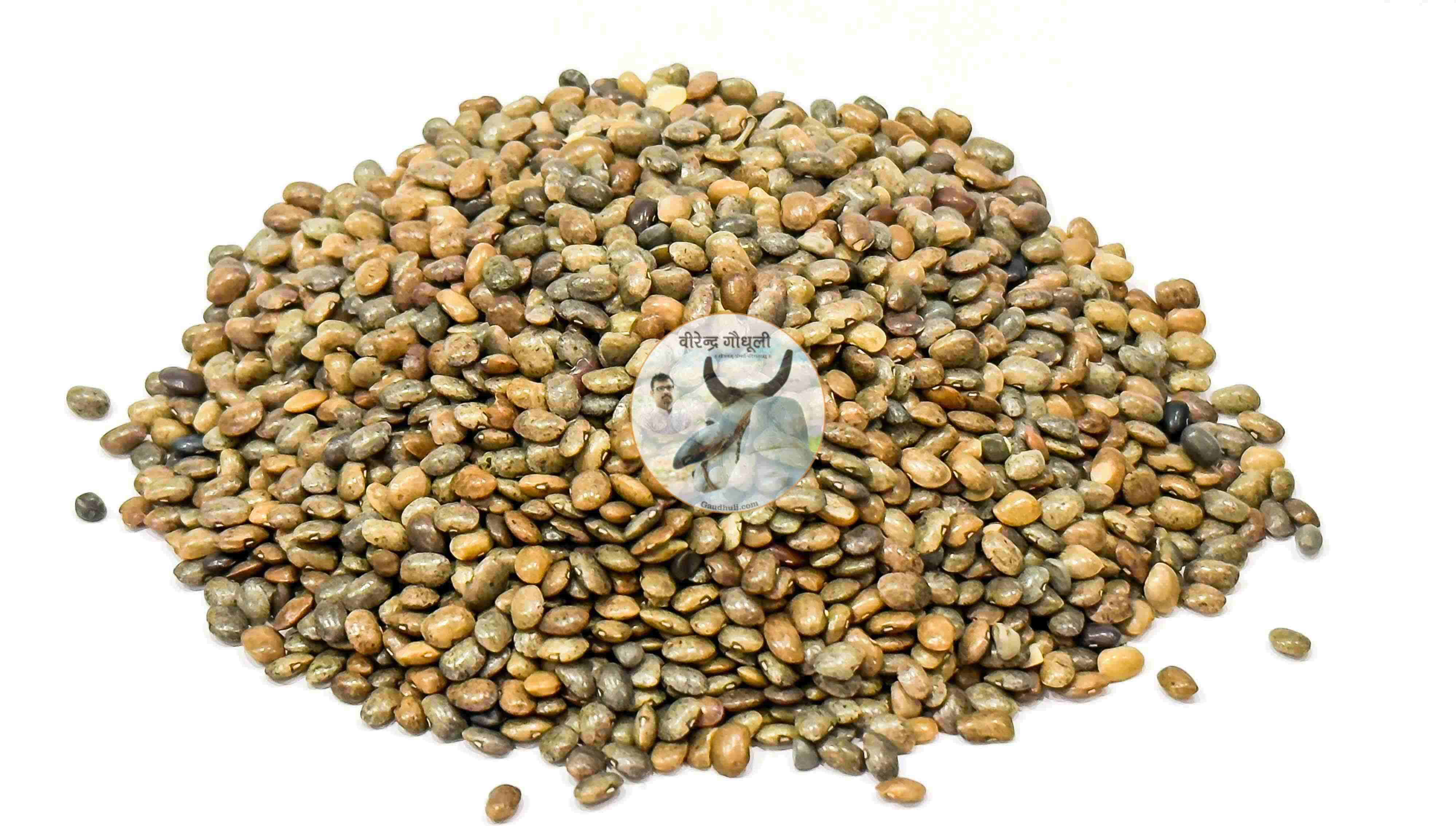 organic pahari kulath (gehat) dal | जैविक पहाड़ी कुलथ दाल 500gm