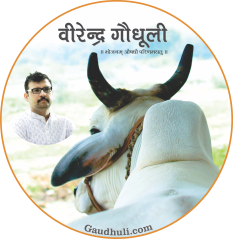 new virendra gaudhuli logo with tagline vlr