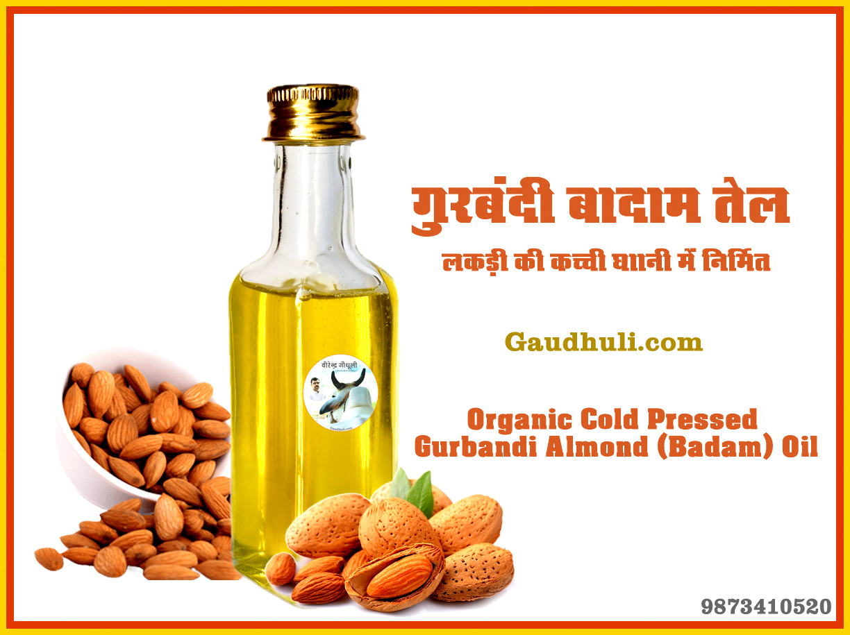 organic pure cold pressed gurbandi almond (badam) oil / गुरबंदी बादाम तेल लकड़ी की कच्ची घानी में निर्मित (कांच की पैकिंग में उपलब्ध) 100ml