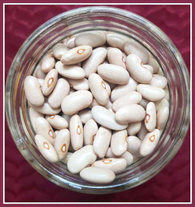 organic pahari munsyari rajma white / जैविक पहाड़ी मुनस्यारी राजमा सफेद 500gm