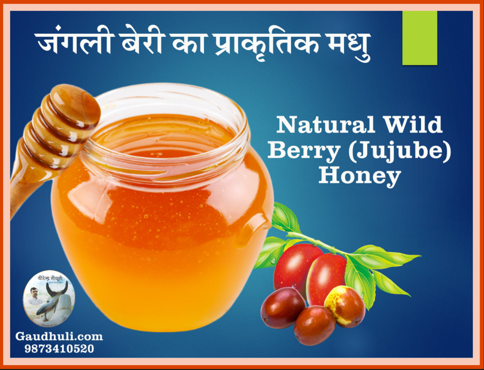 jujube honey berry beri honey