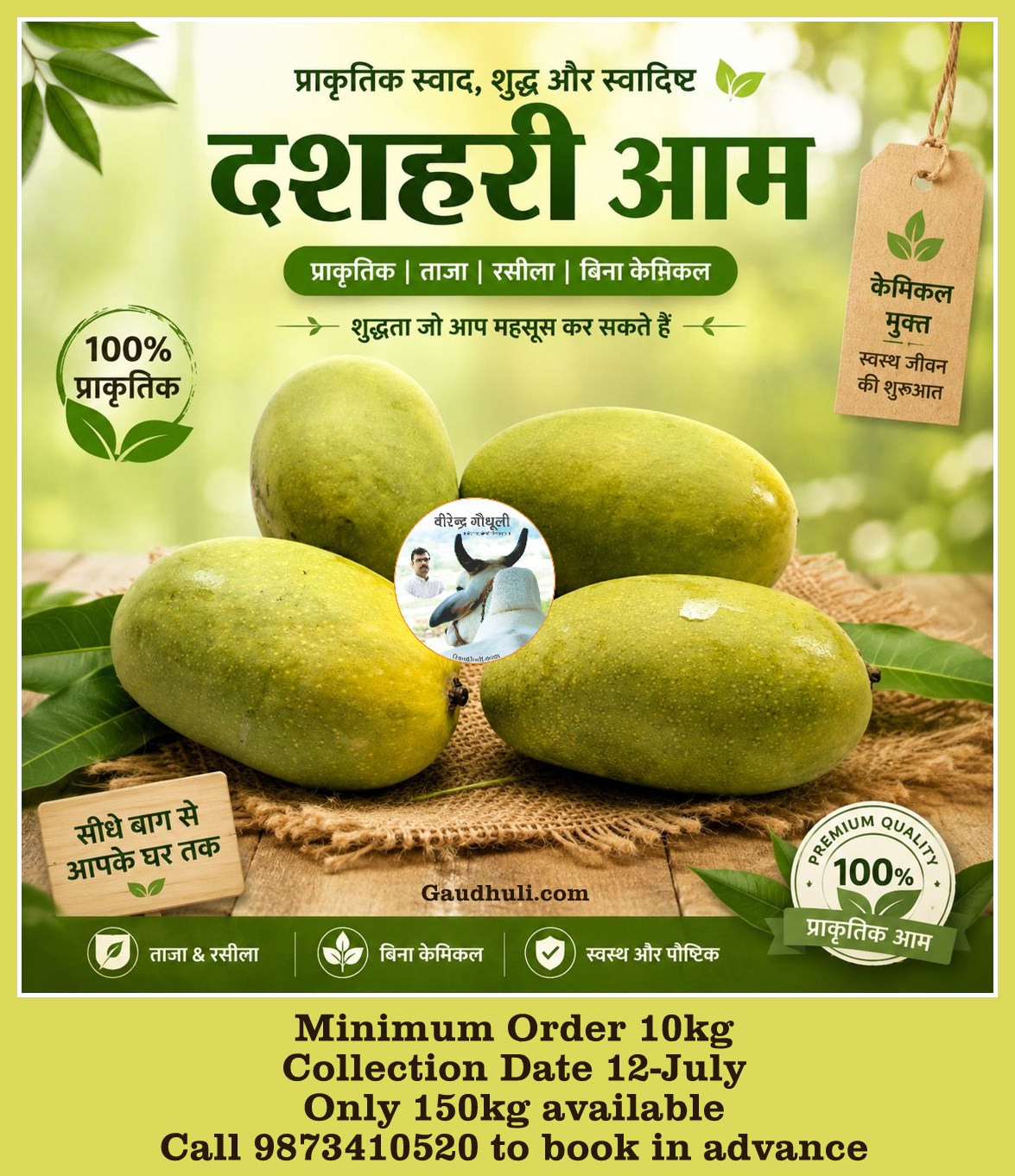 100% प्राकृतिक दशहरी आम | 100% natural dushahari mango (सीधे बाग से)