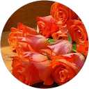 ROM ROM chacha chachi profile picture
