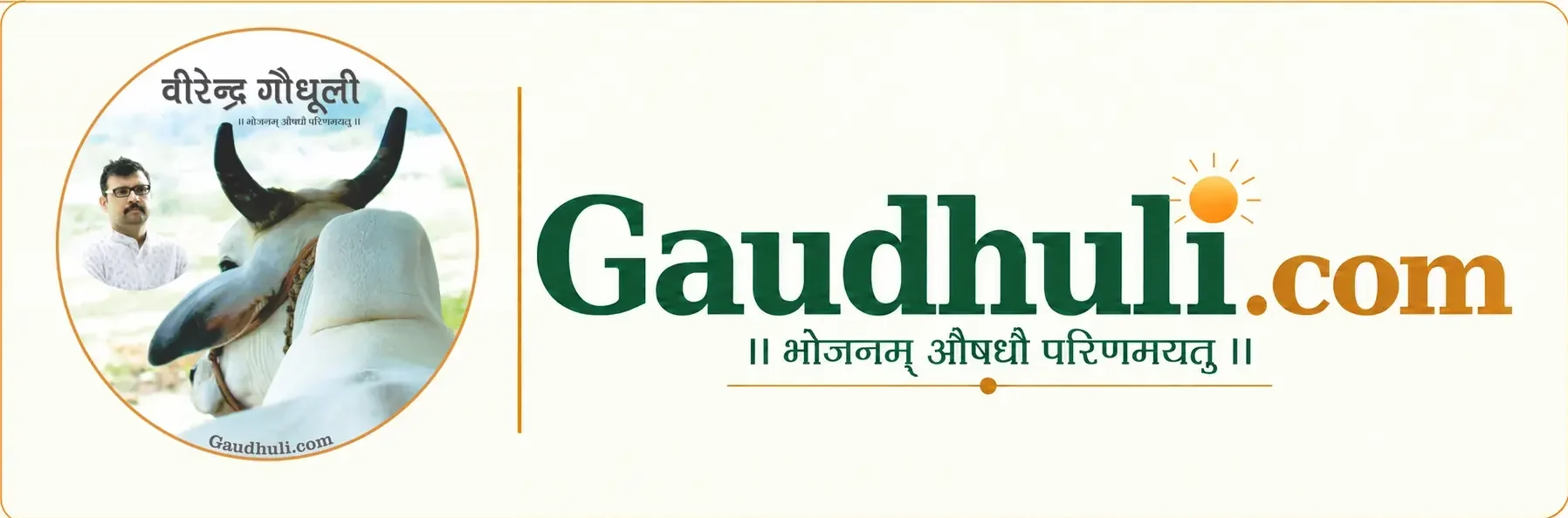 Virendra Gaudhuli